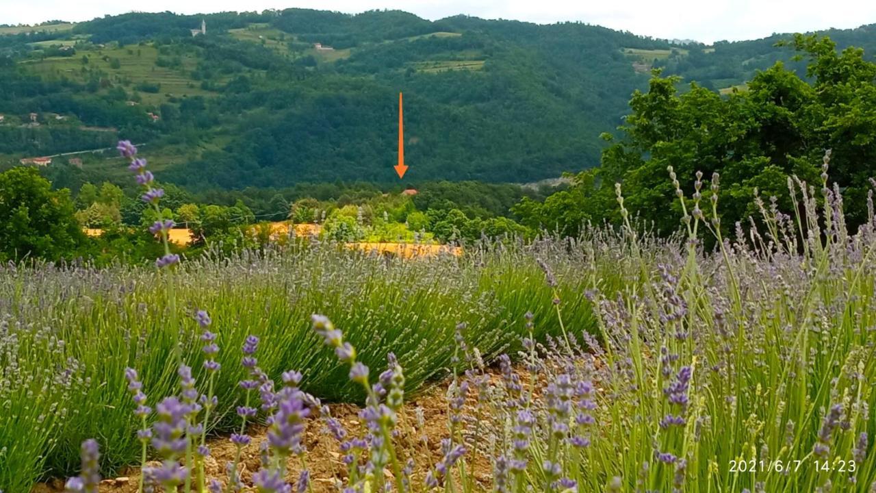 Bed and Breakfast Cascina Boschetto Saliceto Exterior foto